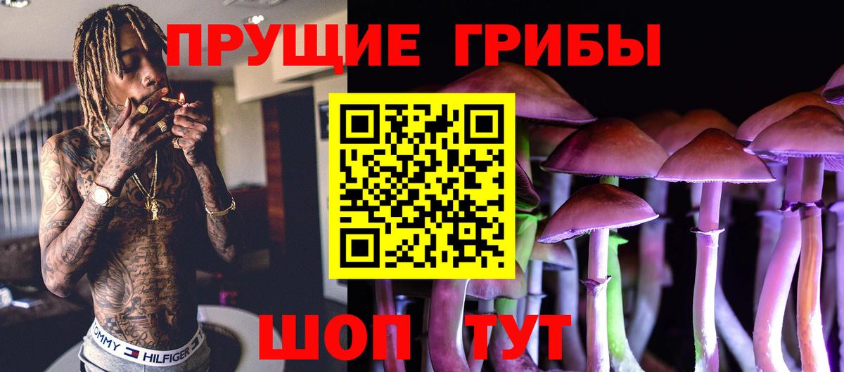 Галлюциногенные грибы Cubensis Нурлат